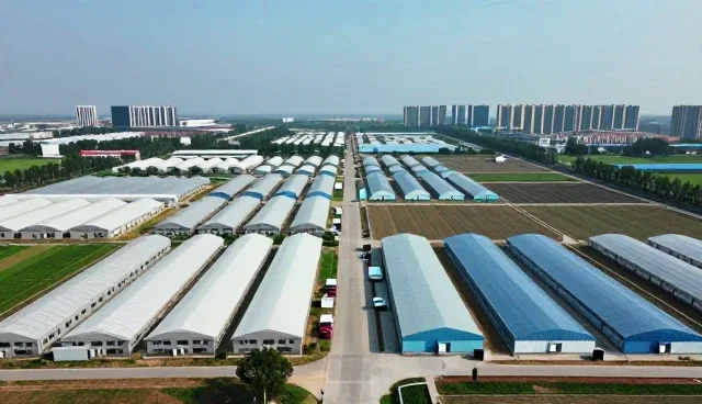 应用开发选型中的性能与兼容性考量